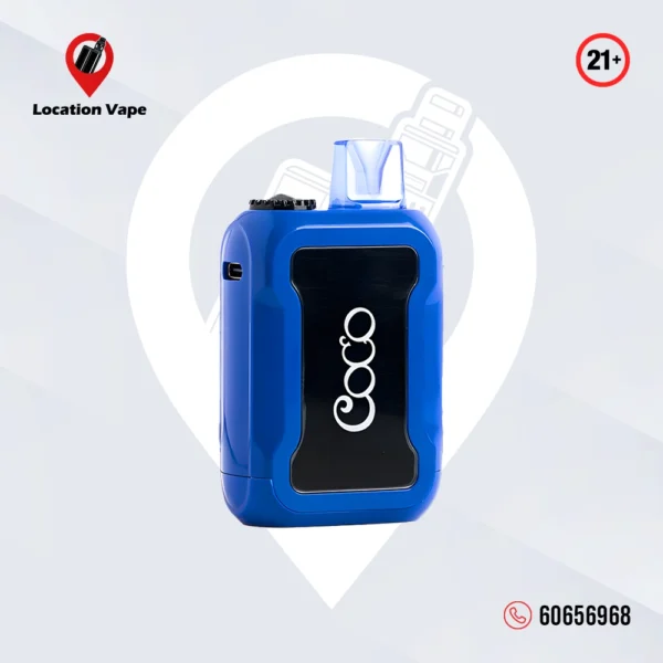 COCO BLUEBERRY 5000 PUFFS